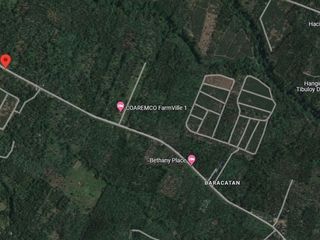 LOT FOR SALE BARACATAN TORIL