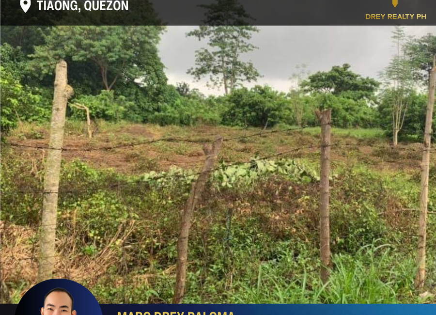 Tiaong Bypass Road, Lusacan, Palagaran, Tiaong, 2nd District, Quezon