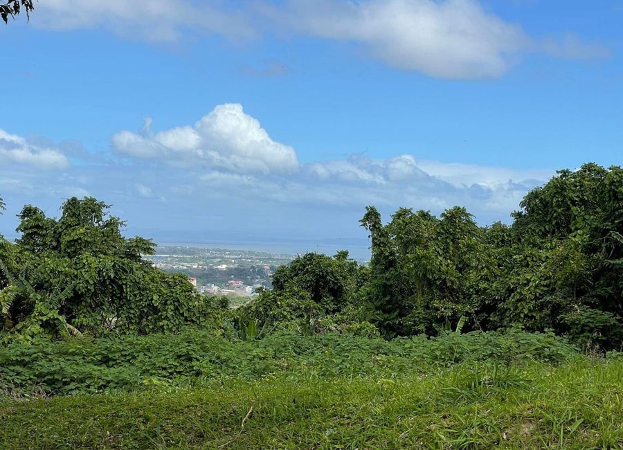 Ayala Greenfield Estates, Maunong, Calamba, Laguna image 2