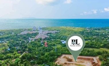 Lot For Sale in Panglao Bohol