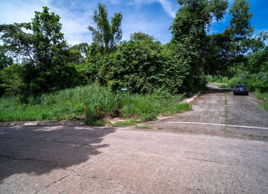 Forest Hills Avenue, Lower Tulakin, Bagong Nayon, Antipolo, Rizal