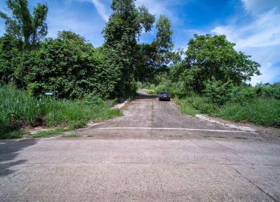Forest Hills Avenue, Lower Tulakin, Bagong Nayon, Antipolo, Rizal image 2