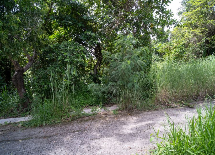 Forest Hills Avenue, Lower Tulakin, Bagong Nayon, Antipolo, Rizal image 3