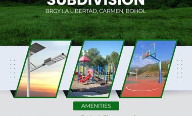 Subdivided Lot  for sale in Carmen, Bohol