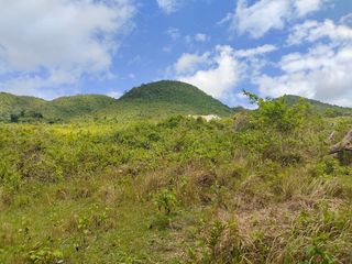 Subdivided Lot for Sale in Maribijoc, Bohol