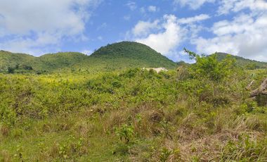 Subdivided Lot for Sale in Maribijoc, Bohol