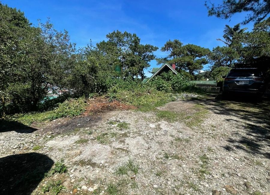 place photo 2