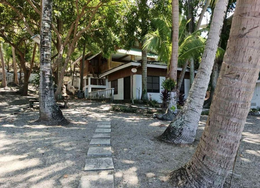 Laiya-Ibabao, San Juan, Batangas image 3