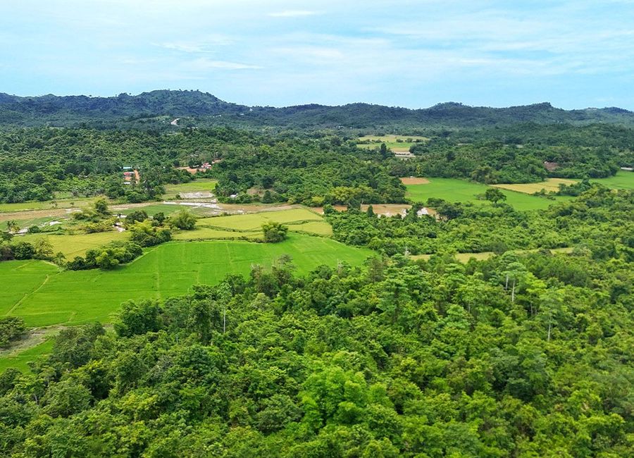 113,071 m2 / 27.94 Acres | Homestead Farmland with Commanding Hill ...