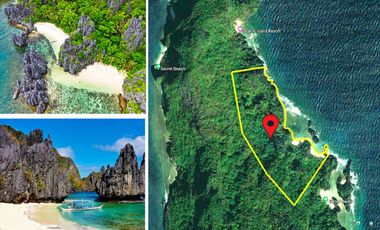 45,903 m2 / 11.34 Acres  | Matinloc Island Portion Exotic Calusa Beach Coves
