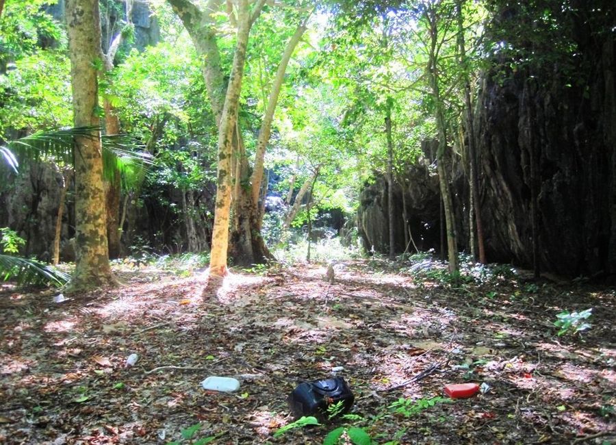 place photo 8