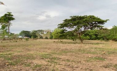 Lot for Sale in Bajumpandan, Dumaguete City