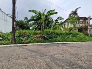 REGULAR CUT!! Residential vacant lot for sale in BF Homes, Quezon City