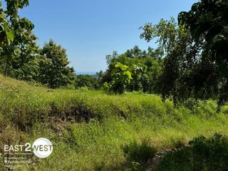 Dijual Kavling Tukad Sumaga Bulelang Bali Murah Luas Lokasi Strategis Jalan Masuk Sudah Cor Beton Untuk Pariwisata DLL