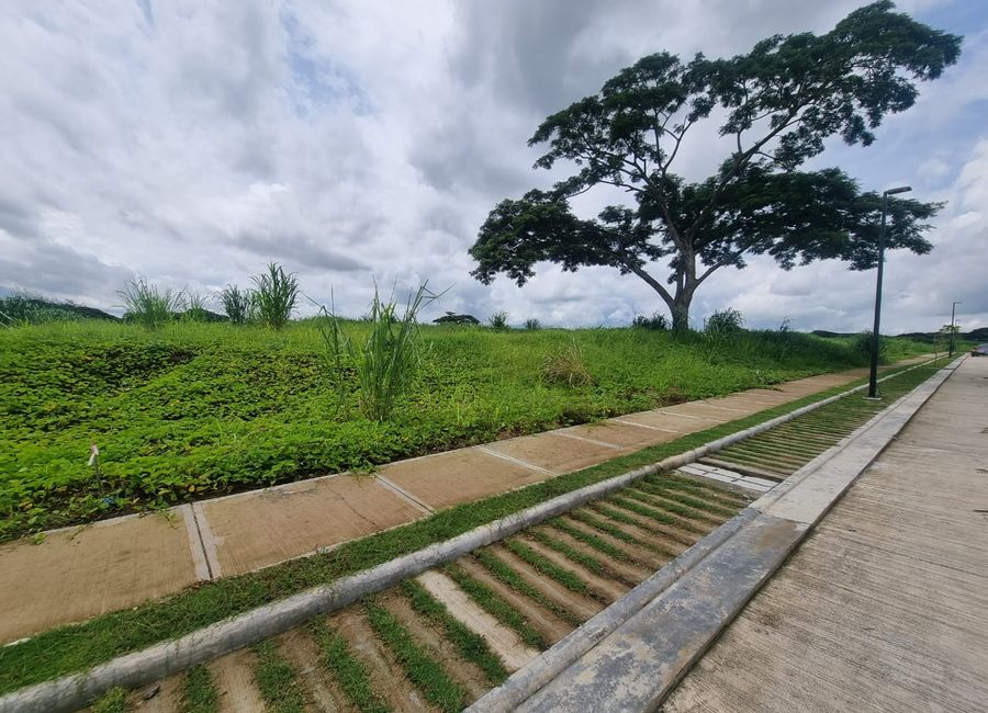 Nuvali Boulevard, Canlubang, Calamba, Laguna image 3