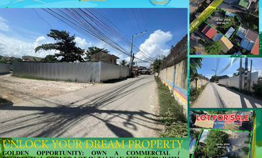 🌟Golden Opportunity: For sale 400sqm Commercial / Residential Corner Lot in Talisay City Cebu🌟