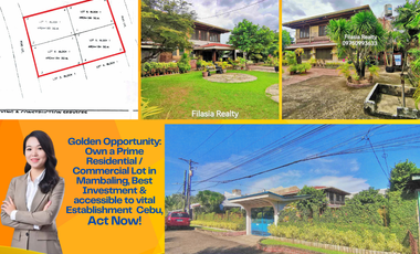 739sqm Residential / Commercial Lot in Mambaling Cebu Near Super Metro Gaisano Mambaling - for Sale🌟