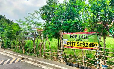 FOR SALE 6 Lots in One