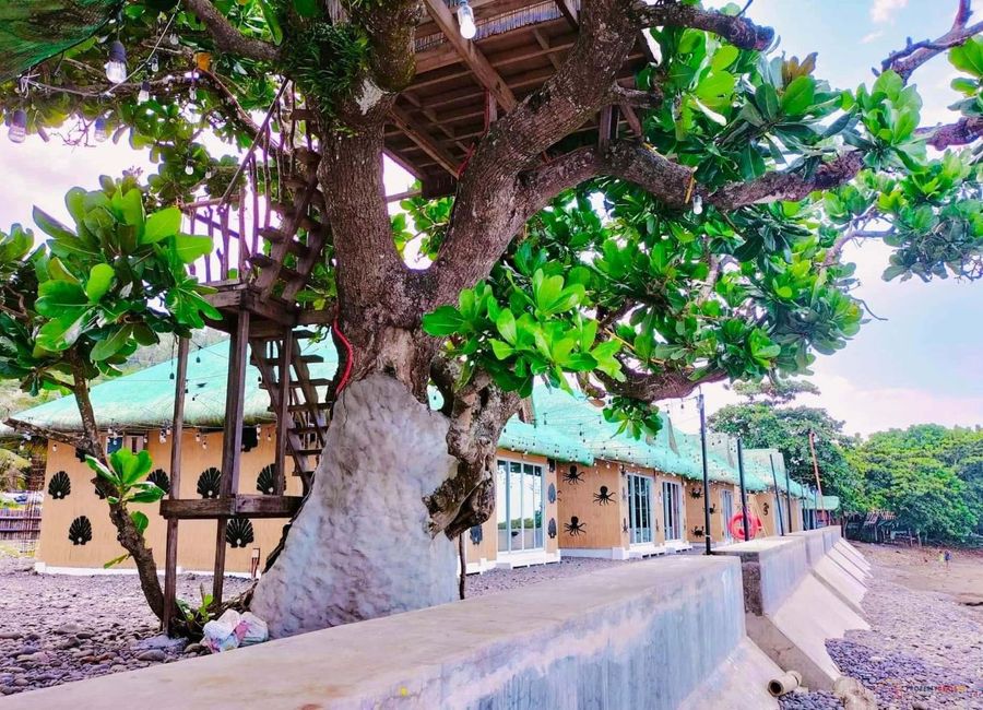 Lubayat, Real, Quezon image 2