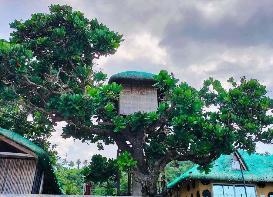 Lubayat, Real, Quezon image 3