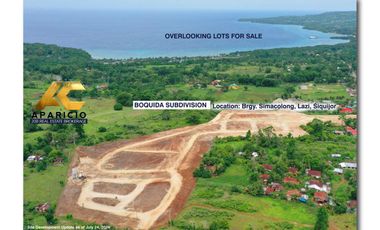 Lot For Sale in Siquijor