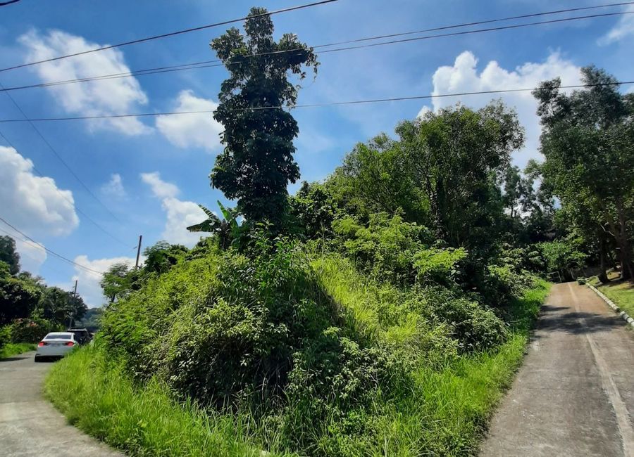 Timberland Avenue, Timberland Heights, San Mateo, Rizal