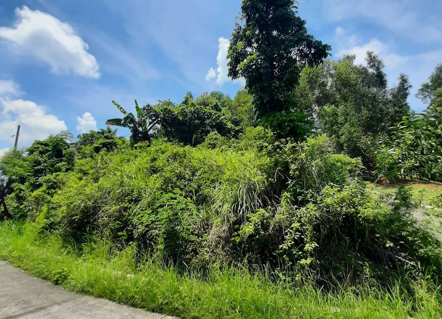 Timberland Avenue, Timberland Heights, San Mateo, Rizal image 2