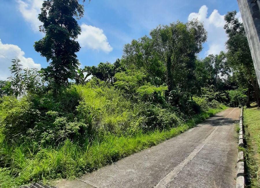 Timberland Avenue, Timberland Heights, San Mateo, Rizal image 3
