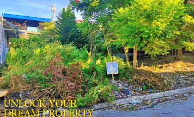 110SQM LOT IN CAMELLA HOMES LAWAAN 1 TALISAY CITY CEBU