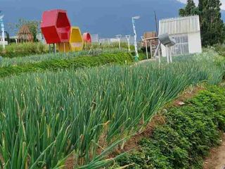 Tanah Puncak Depan Kebun Bunga Surat Sertifikat Lokasi Strategis Paling Tinggi