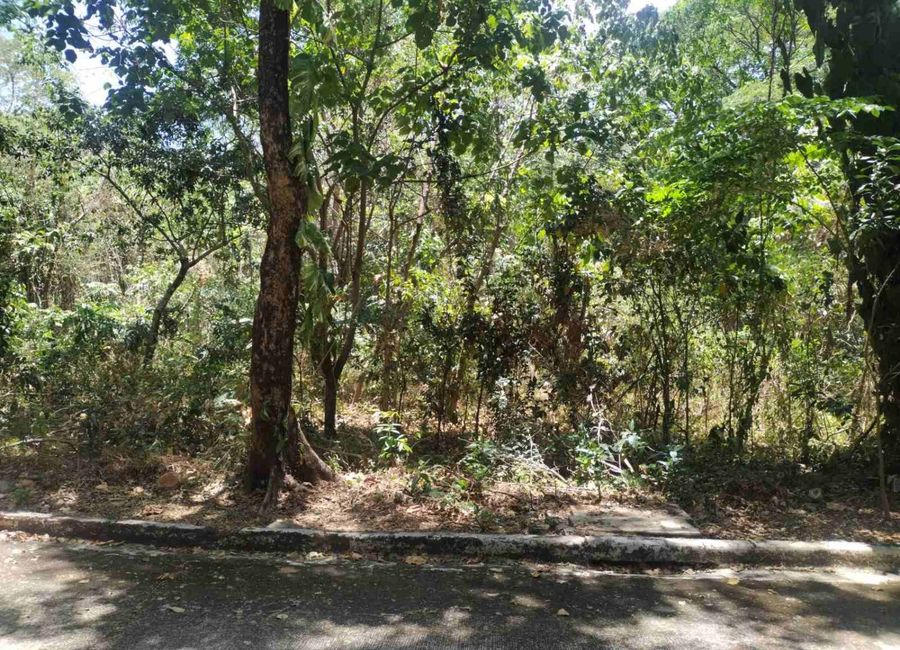 Baras, Rizal image 2