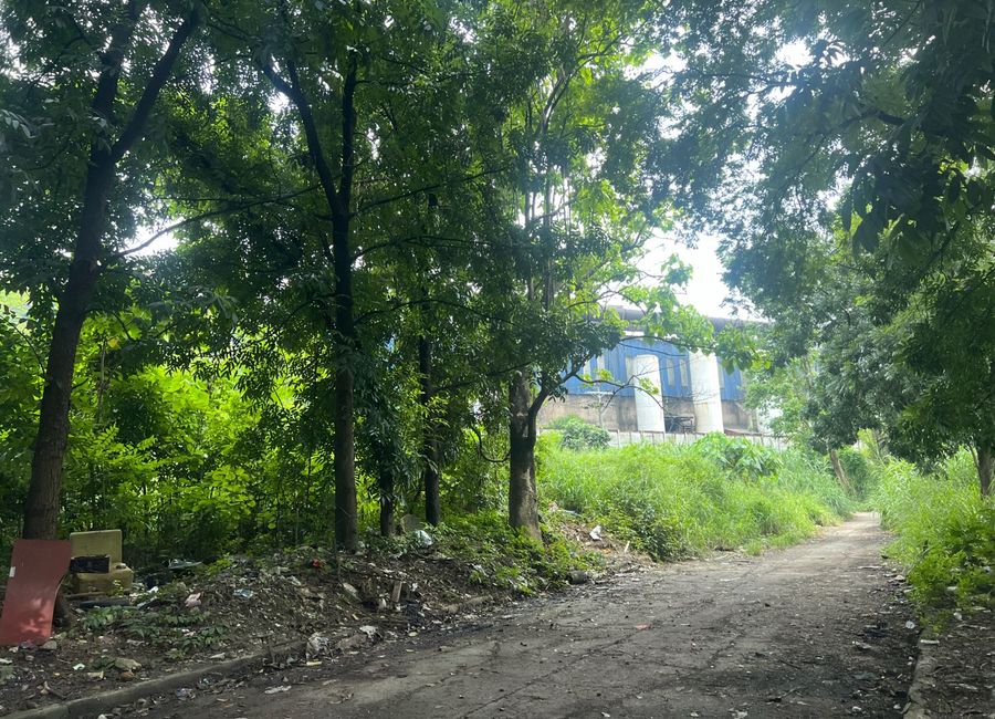 A. Bonifacio Avenue, Teachers Village, Santa Rosa, Cainta, Rizal