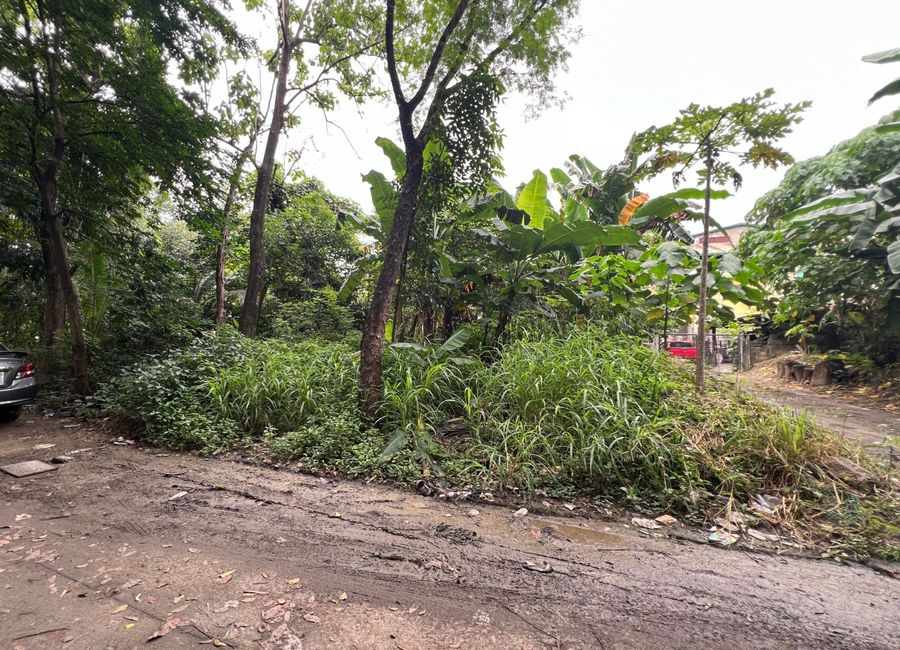 A. Bonifacio Avenue, Teachers Village, Santa Rosa, Cainta, Rizal image 3