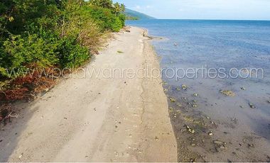 Prime Beachfront Paradise: An Exceptional Investment Opportunity