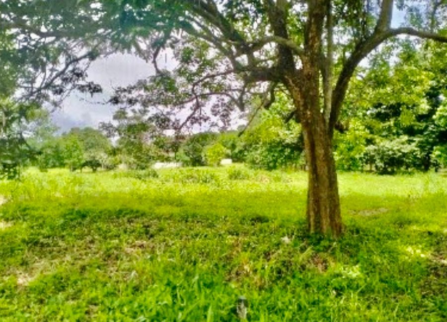 Abrio Nuvali, Santo Domingo, Santa Rosa, Laguna image 3