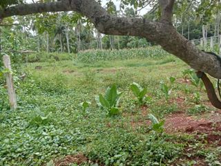 Prime Agricultural Land with Beachfront Potential for industrial or residential use in Western part of Misamis Oriental