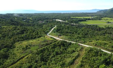 Overlooking Property for Restaurant or Mountain Resort