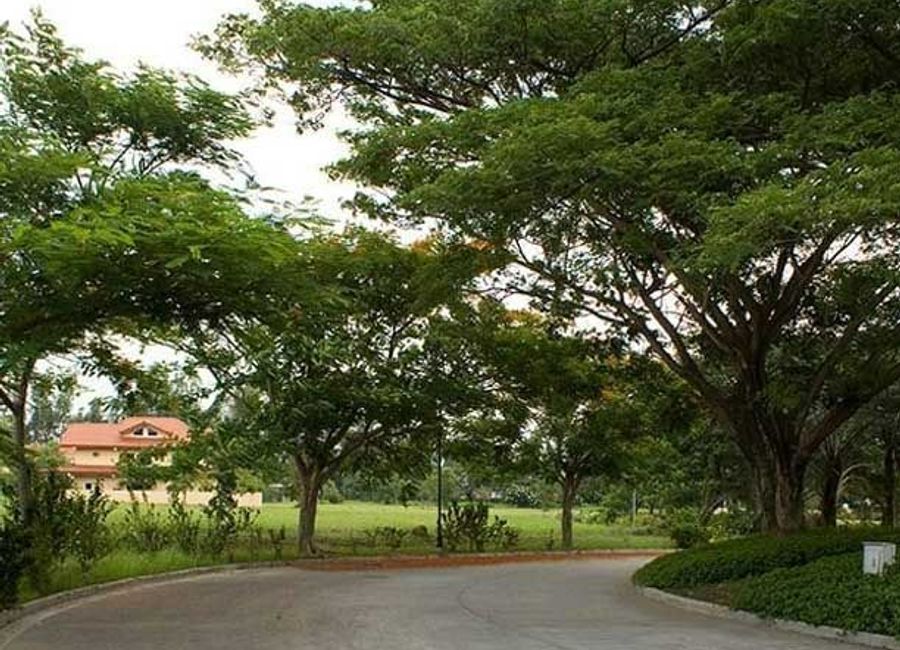 place photo 25