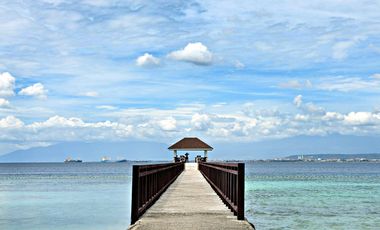 Playa Azalea Beach Lots For Sale in Samal Davao