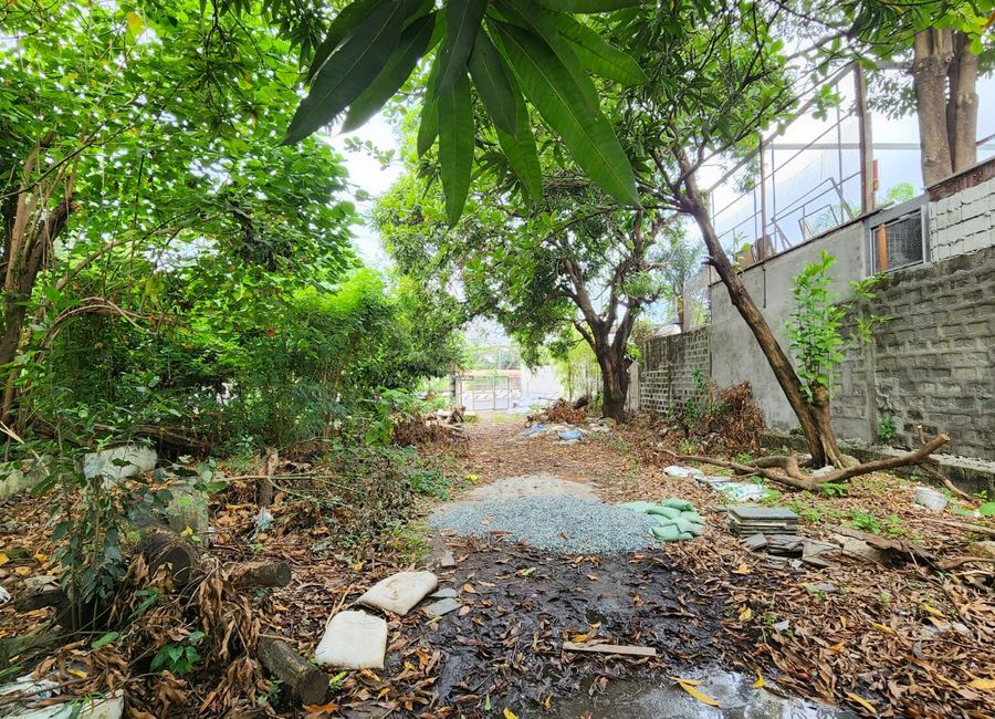 Villamayor Compound, Pag-asa, Tayuman, Binangonan, Rizal image 2