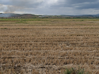 FOR SALE - Raw Land in Brgy Simanu Norte, San Pablo, Isabela