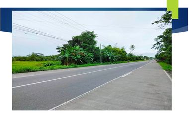 14 Hectares Land along National Highway in Alang-alang, Leyte