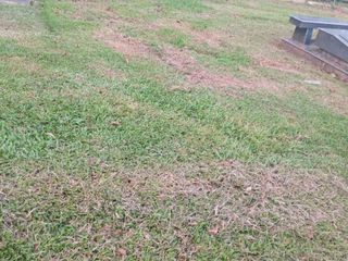 Lawn for sale in Sucat Paranaque