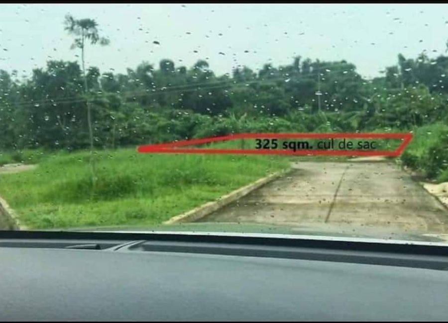 Caliraya-Cavinti Arterial Road, Lewin, Lumban, Laguna image 2