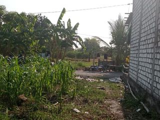 Tanah Murah Menganti Dijual Cepat