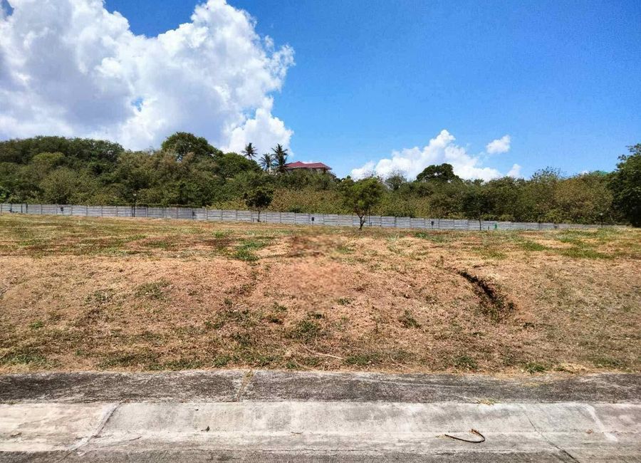 Ayala Greenfield Estates, Maunong, Calamba, Laguna image 2