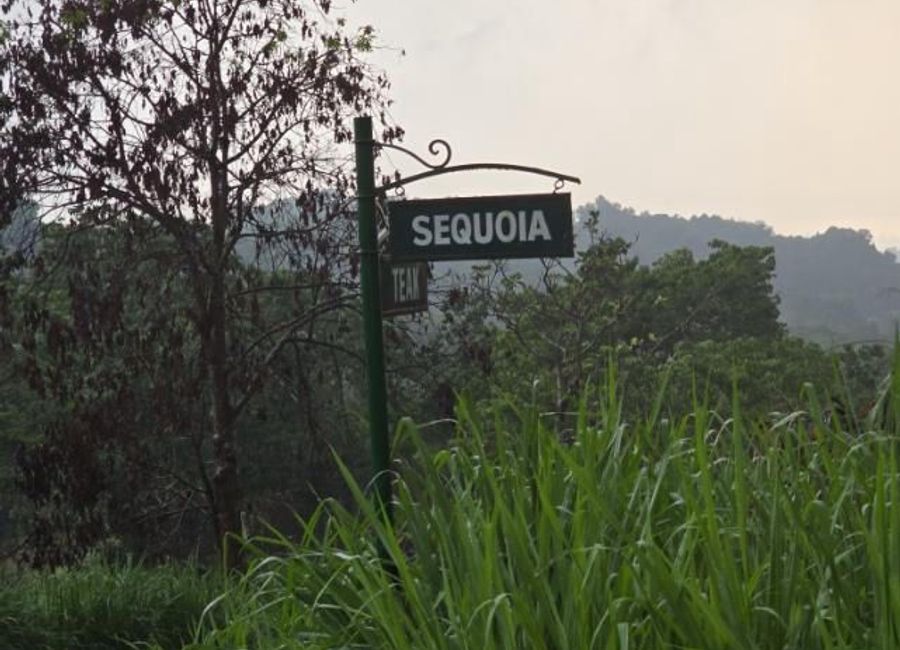 Sumulong Highway, Masinag, Mayamot, Antipolo, Rizal image 3