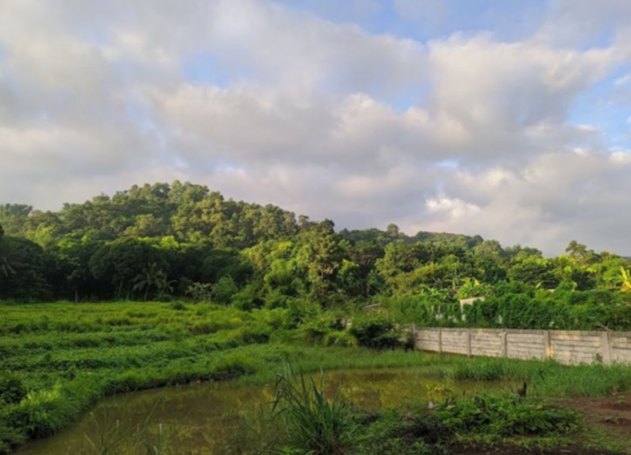 Pinugay, Baras, Rizal