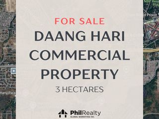 3-hectare Commercial/Residential Lot for sale in Daang Hari Road