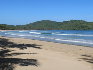 FOR SALE - Beachfront lot in El Nido, Palawan